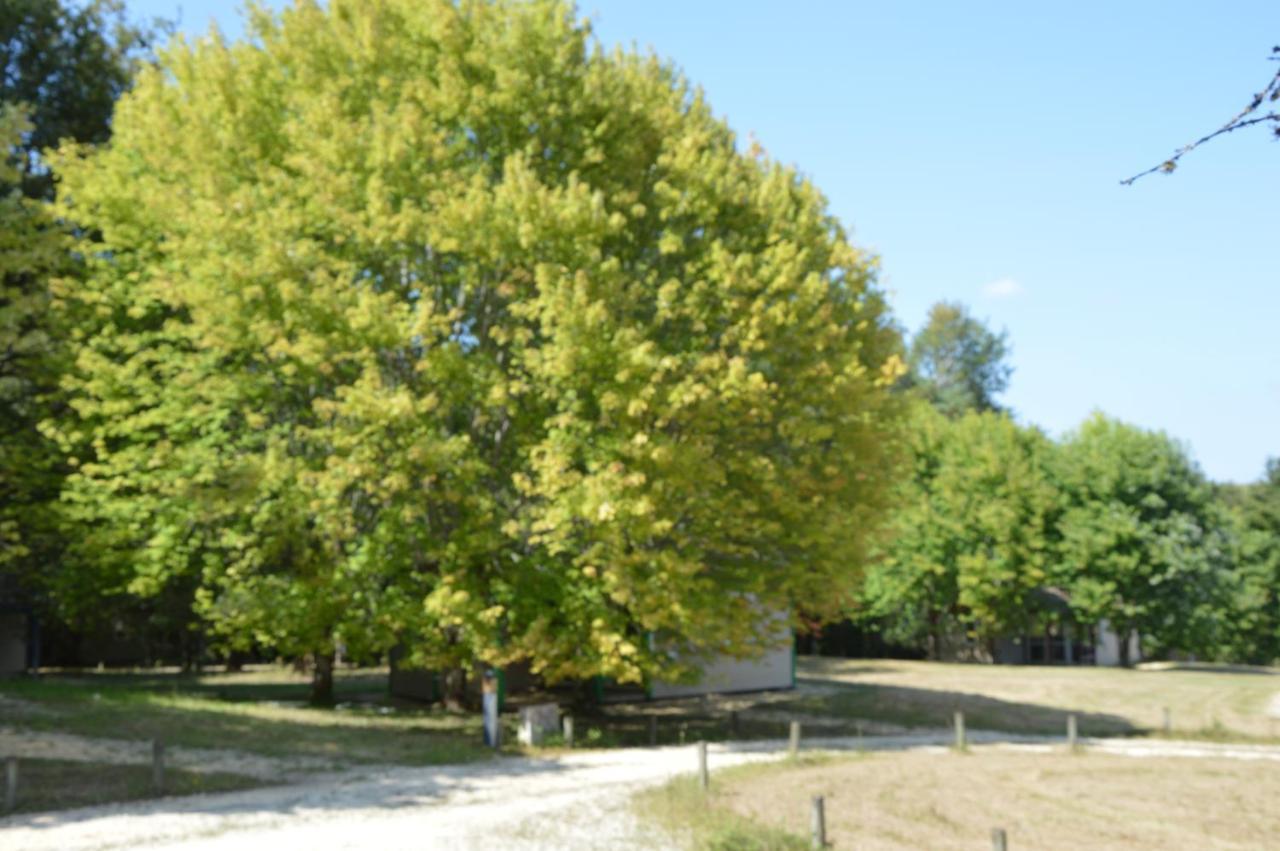 La Foret Enchantee Cornille  Exterior photo